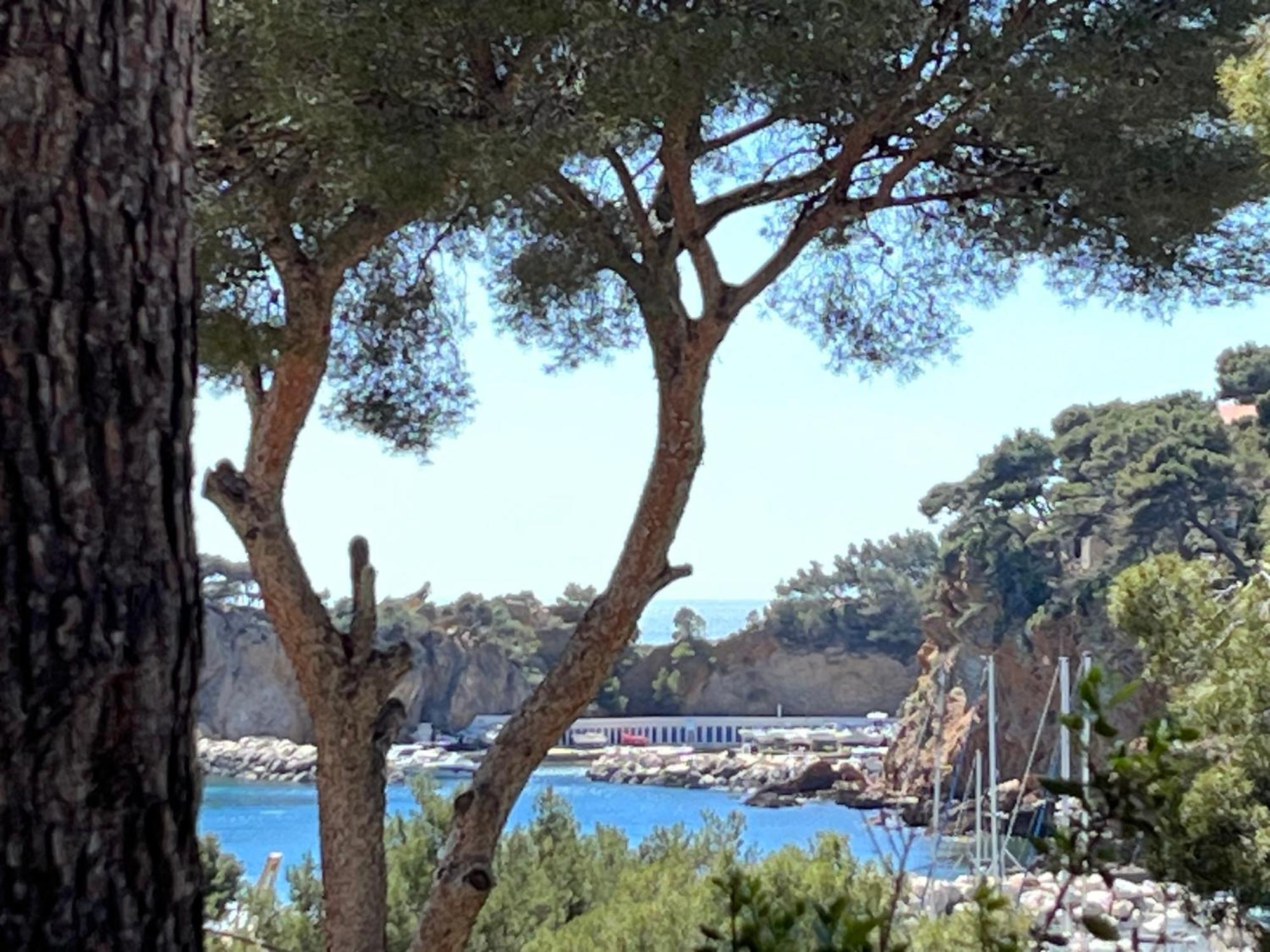 La Casa Calanquaise - Mer A 250M Accessible A Pied - T2 Spacieux Independant - Terrasse Ombragee 앙수에-라-레돈느 외부 사진